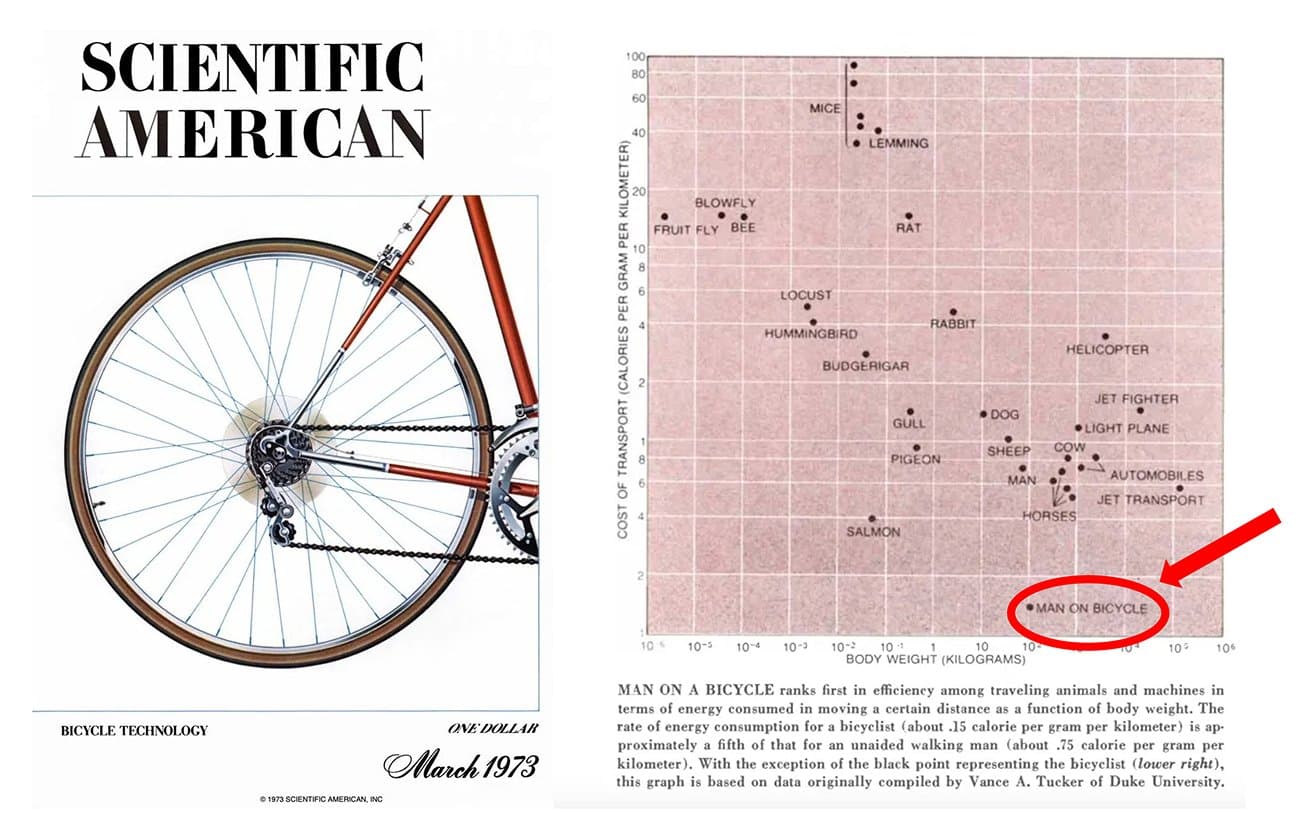1970-luvulla Scientific American -lehdessä julkaistu liikkumisen tehokkuutta käsittelevä tutkimus antoi Steve Jobsille inspiraation kuuluisaan ”mielen polkupyörä” -vertaukseen. Nykyisin olemme polkeneet tiedon valtatiellä jo vuosikymmenien ajan.