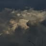 Profile picture of World of Undefined Brain