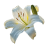 Profile picture of Eery