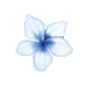 Profile picture of ⟢Tooty Notes۶ৎ.