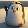 Profile picture of nck