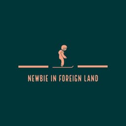 NEWBIE IN FOREIGN LAND