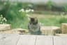 Profile picture of ngoc